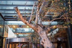 Hilton-Main-Entrance